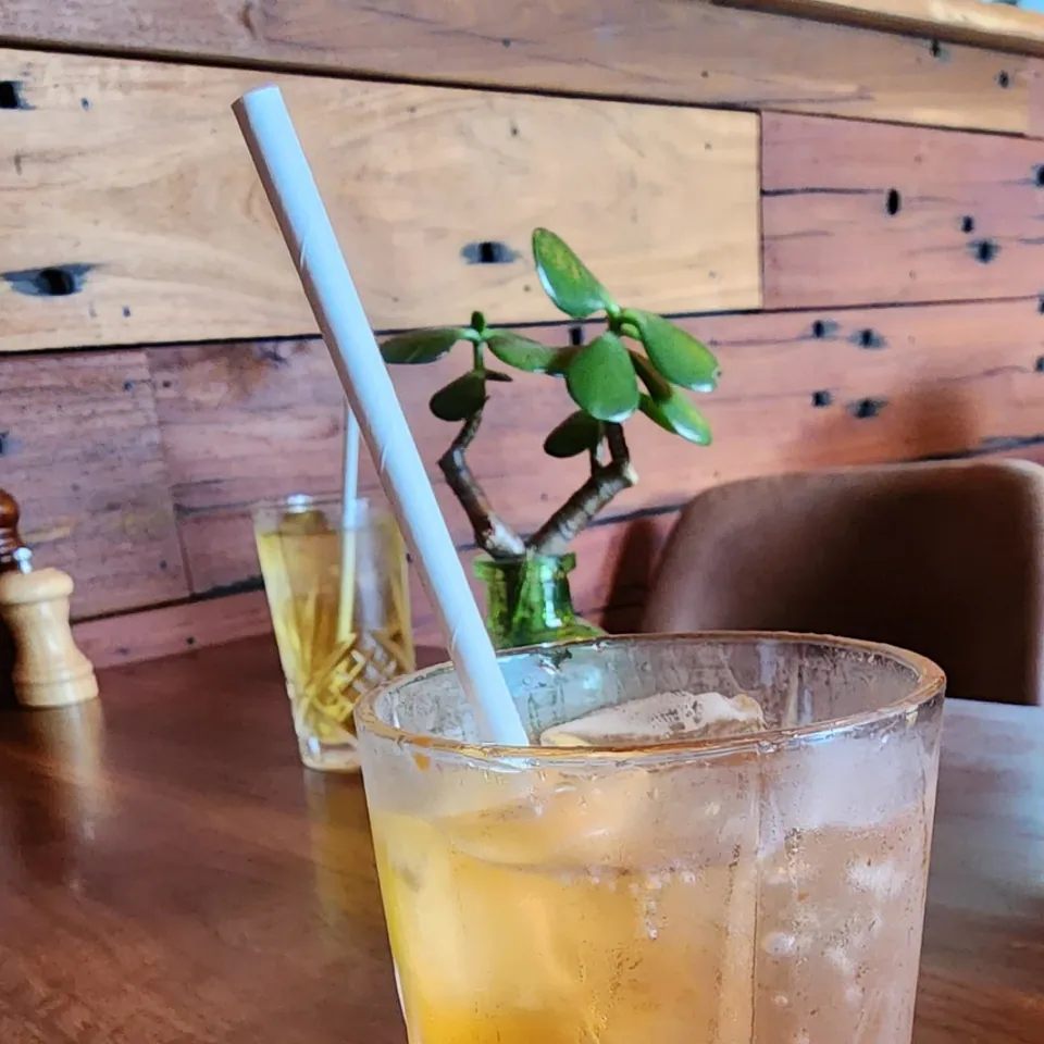 Craft cocktails in warm timber interior setting